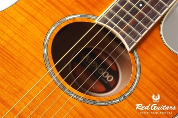 APX-600FM - Amber